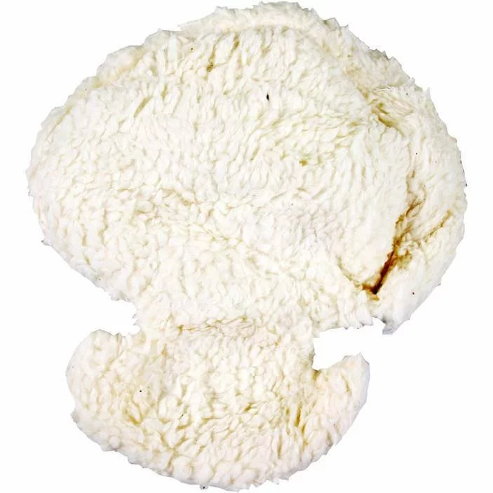 Melia Main Reducer Plus 0-9 Mnd Schaap 1 Melia Main Reducer Plus 0-9 Mnd Schaap