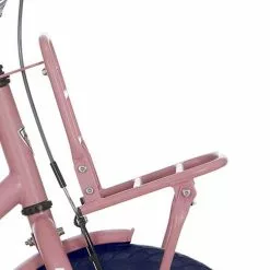 Alpina Frontbærer 16 Last Blød Lyserød Matt